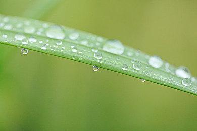 宣布涨价之后微软又要限制XGP叠加购买时长